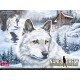 Juego Wii Nancy Drew The White Wolf Of Icicle Creek Usado