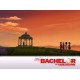 Juego Wii The Bachelor The Videogame Usado